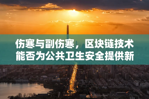 伤寒与副伤寒，区块链技术能否为公共卫生安全提供新解？