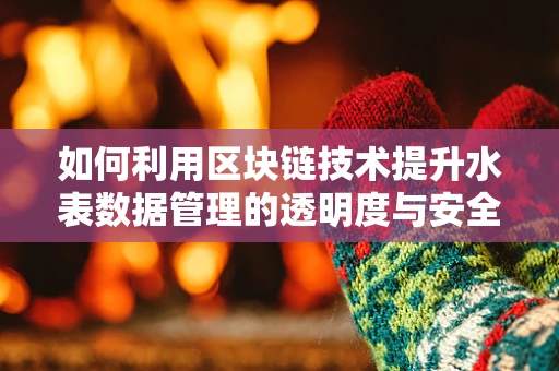如何利用区块链技术提升水表数据管理的透明度与安全性？