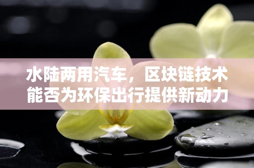 水陆两用汽车，区块链技术能否为环保出行提供新动力？
