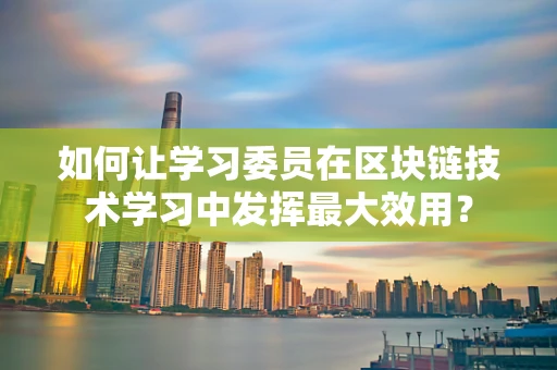 如何让学习委员在区块链技术学习中发挥最大效用？