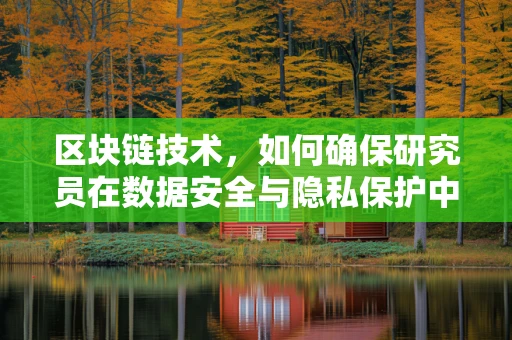区块链技术，如何确保研究员在数据安全与隐私保护中的角色？