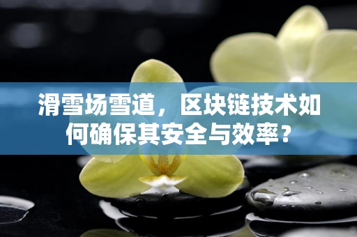 滑雪场雪道，区块链技术如何确保其安全与效率？