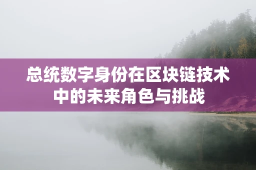 总统数字身份在区块链技术中的未来角色与挑战
