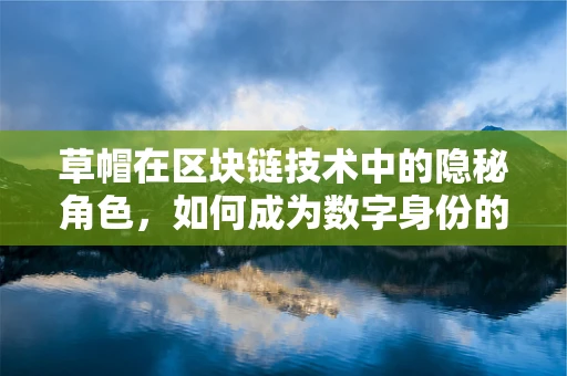 草帽在区块链技术中的隐秘角色，如何成为数字身份的守护者？