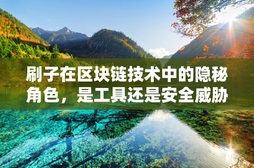 刷子在区块链技术中的隐秘角色，是工具还是安全威胁？