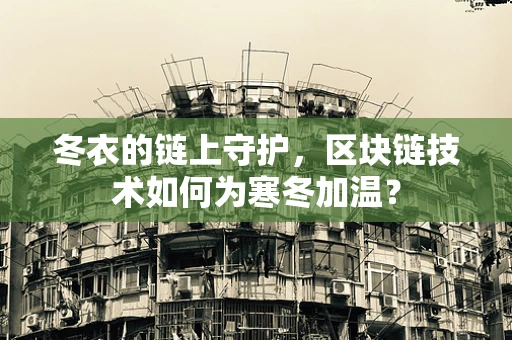 冬衣的链上守护，区块链技术如何为寒冬加温？