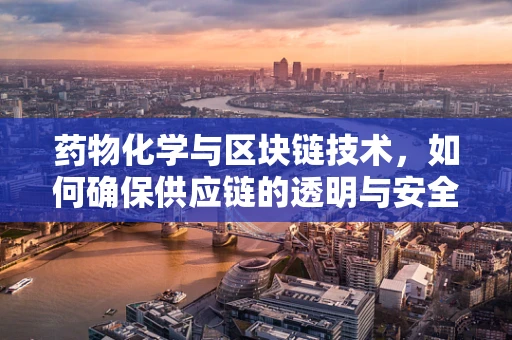 药物化学与区块链技术，如何确保供应链的透明与安全？