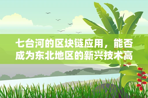 七台河的区块链应用，能否成为东北地区的新兴技术高地？