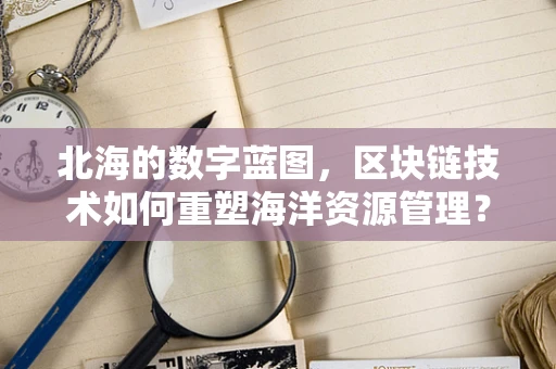 北海的数字蓝图，区块链技术如何重塑海洋资源管理？
