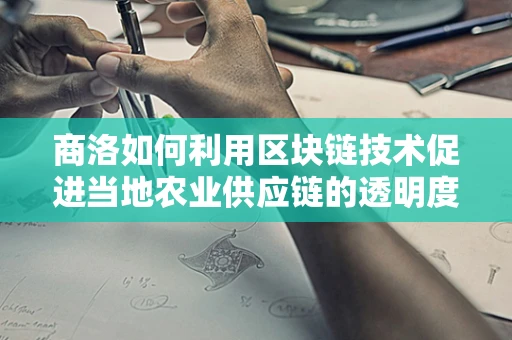 商洛如何利用区块链技术促进当地农业供应链的透明度与效率？