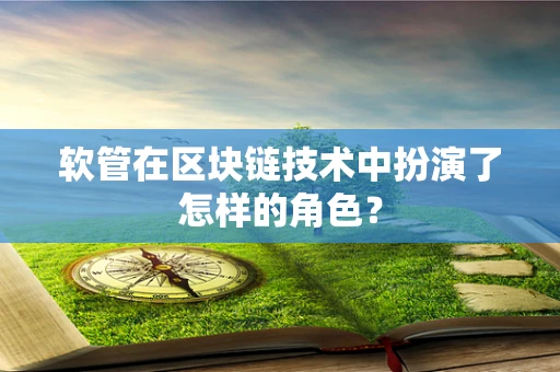 软管在区块链技术中扮演了怎样的角色？