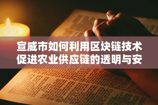 宣威市如何利用区块链技术促进农业供应链的透明与安全？