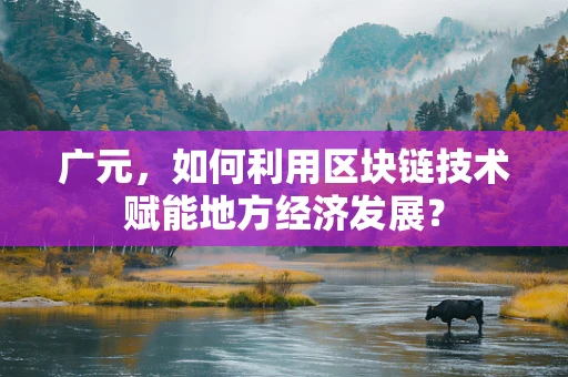 广元，如何利用区块链技术赋能地方经济发展？