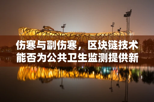 伤寒与副伤寒，区块链技术能否为公共卫生监测提供新思路？