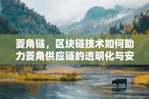 菱角链，区块链技术如何助力菱角供应链的透明化与安全？