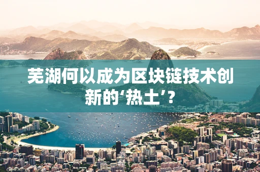 芜湖何以成为区块链技术创新的‘热土’？