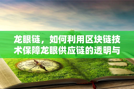 龙眼链，如何利用区块链技术保障龙眼供应链的透明与安全？