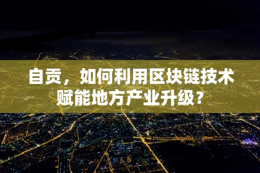 自贡，如何利用区块链技术赋能地方产业升级？