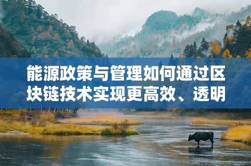 能源政策与管理如何通过区块链技术实现更高效、透明的监管？