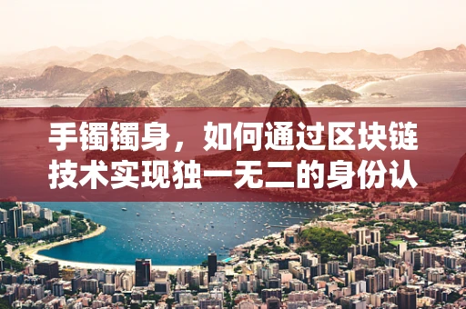 手镯镯身，如何通过区块链技术实现独一无二的身份认证？