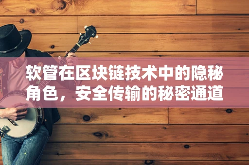 软管在区块链技术中的隐秘角色，安全传输的秘密通道？