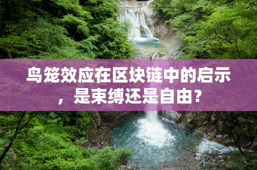 鸟笼效应在区块链中的启示，是束缚还是自由？