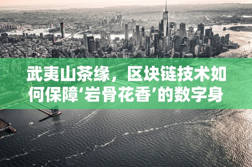 武夷山茶缘，区块链技术如何保障‘岩骨花香’的数字身份？