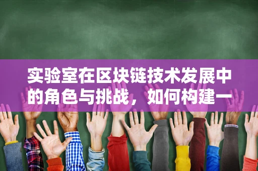 实验室在区块链技术发展中的角色与挑战，如何构建一个高效的测试环境？