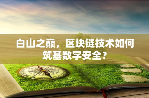 白山之巅，区块链技术如何筑基数字安全？