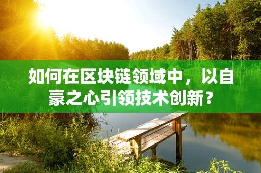 如何在区块链领域中，以自豪之心引领技术创新？