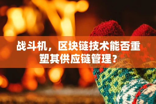战斗机，区块链技术能否重塑其供应链管理？