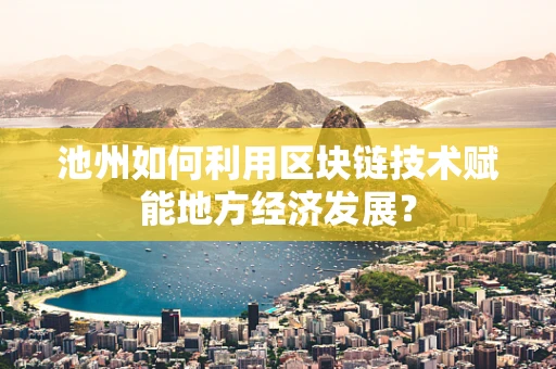池州如何利用区块链技术赋能地方经济发展？