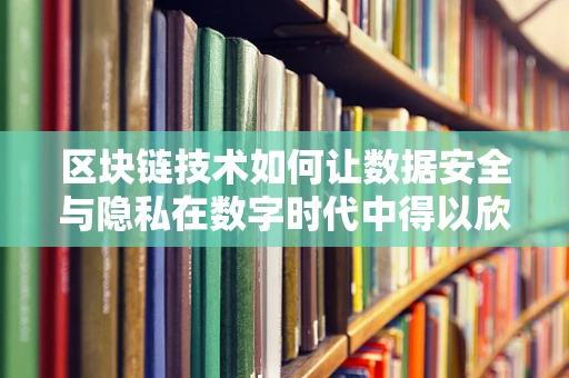 区块链技术如何让数据安全与隐私在数字时代中得以欣慰共存？