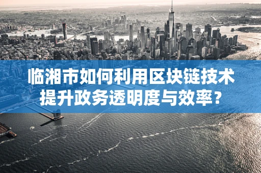 临湘市如何利用区块链技术提升政务透明度与效率？