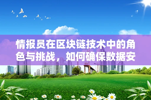 情报员在区块链技术中的角色与挑战，如何确保数据安全与隐私？