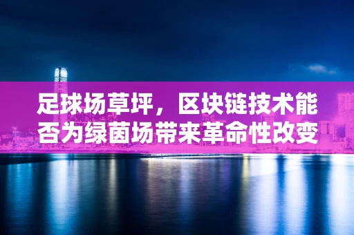 足球场草坪，区块链技术能否为绿茵场带来革命性改变？