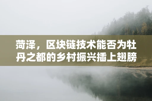 菏泽，区块链技术能否为牡丹之都的乡村振兴插上翅膀？