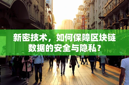 新密技术，如何保障区块链数据的安全与隐私？