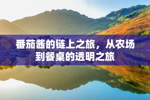 番茄酱的链上之旅，从农场到餐桌的透明之旅