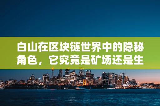 白山在区块链世界中的隐秘角色，它究竟是矿场还是生态守护者？