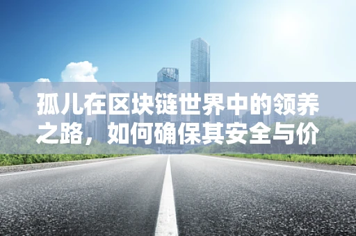 孤儿在区块链世界中的领养之路，如何确保其安全与价值？