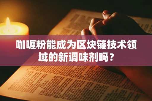 咖喱粉能成为区块链技术领域的新调味剂吗？