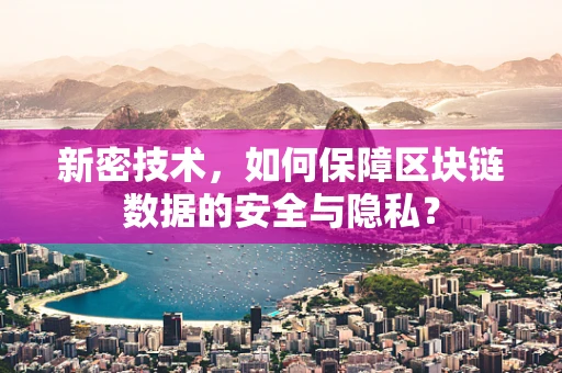 新密技术，如何保障区块链数据的安全与隐私？