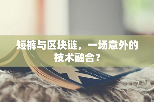 短裤与区块链，一场意外的技术融合？