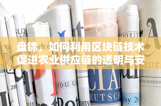 盘锦，如何利用区块链技术促进农业供应链的透明与安全？