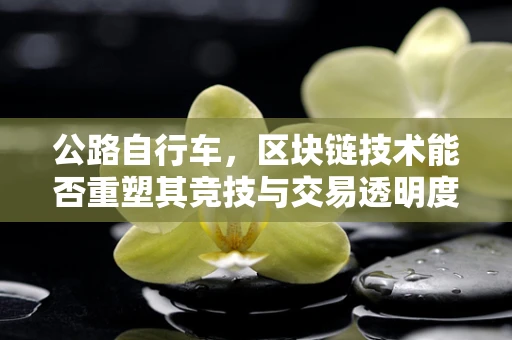 公路自行车，区块链技术能否重塑其竞技与交易透明度？