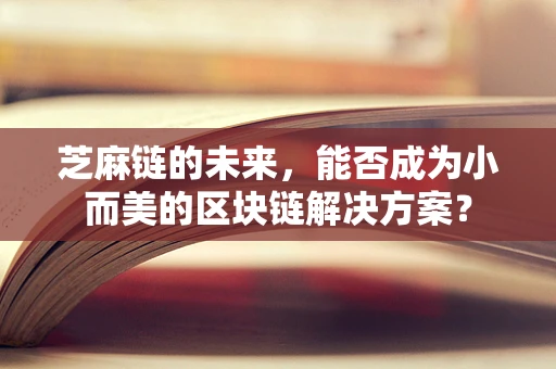 芝麻链的未来，能否成为小而美的区块链解决方案？