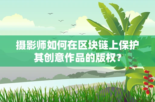 摄影师如何在区块链上保护其创意作品的版权？