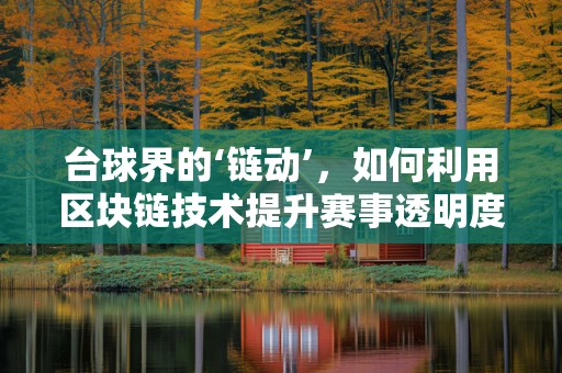 台球界的‘链动’，如何利用区块链技术提升赛事透明度与公平性？