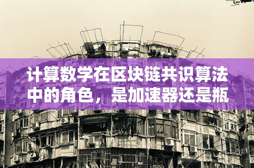 计算数学在区块链共识算法中的角色，是加速器还是瓶颈？